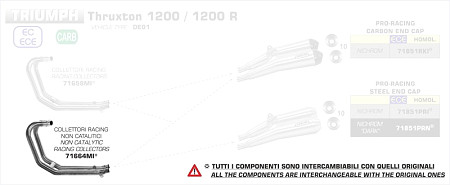  Arrow Zwischenrohr zentral ohne Katalysator
 Triumph Speed Twin 1200, Bj. 2019-2020 
