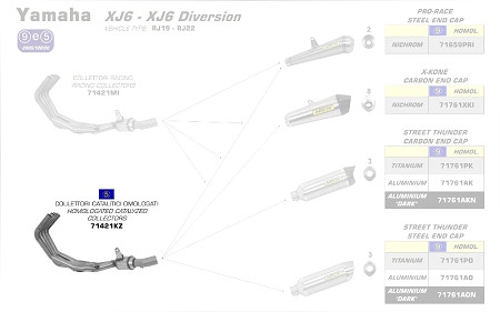  Arrow Krümmer mit Kat
 Yamaha XJ6 / XJ6 Diversion, Bj. 2009-2015 